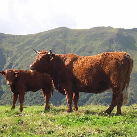 Aparthotel Le Bec De L'aigle *